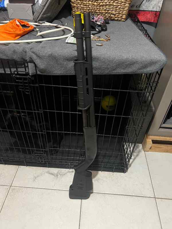 Remington 870 with 7+ tube and magpul furniture 